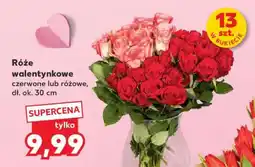 Kaufland Róże walentynkowe oferta
