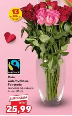 Kaufland Róże walentynkowe Fairtrade oferta