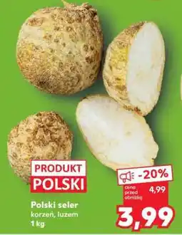Kaufland Polski seler oferta