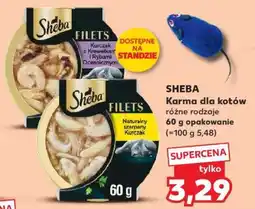 Kaufland SHEBA Karma dla kotów oferta