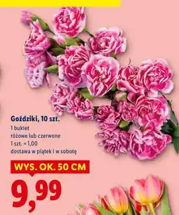 Lidl Goździki, 10 szt oferta