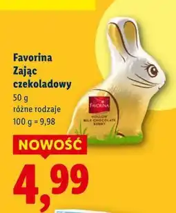 Lidl Favorina Zając czekoladowy oferta
