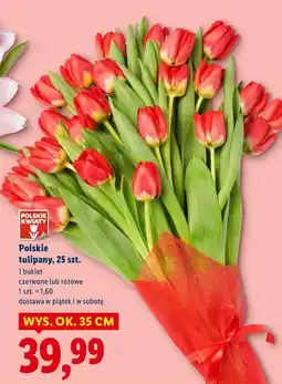 Lidl Polskie tulipany, 25 szt oferta