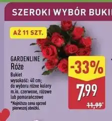 ALDI GARDENLINE Róże (Bouquet of Roses) - up to 11 szt oferta