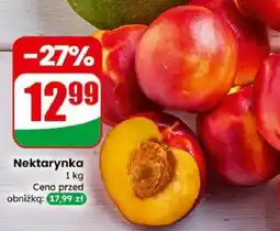 Dino Nektarynka oferta