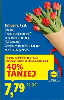Lidl Bukiet tulipanów Tulipany oferta