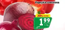 Prim Market Cebula czerwona oferta