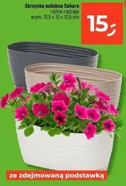 Dealz Skrzynka ozdobna sahara 31.5 x 13 13.5 cm oferta