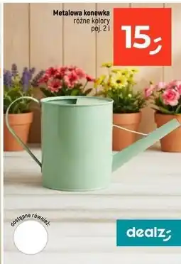 Dealz Konewka metalowa oferta