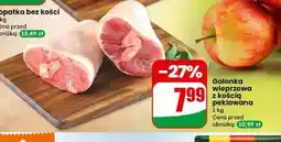 Dino Golonka z kością Agro Rydzyna oferta