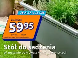 Action Stół do sadzenia oferta
