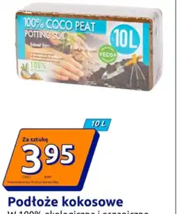 Action Podłoże kokosowe oferta