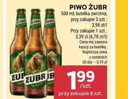 Stokrotka Market Piwo Żubr oferta