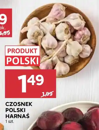 Stokrotka Market Czosnek Polski oferta