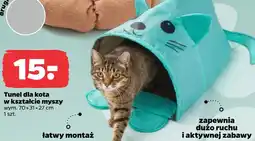 Netto Tunel dla kota oferta