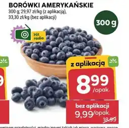 Stokrotka BORÓWKI AMERYKAŃSKIE oferta