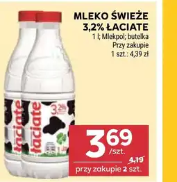 Stokrotka Mleko Łaciate oferta