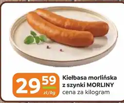 Gama Kiełbasa Morliny oferta