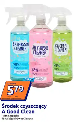 Action Środek czyszczący A Good Clean oferta