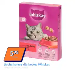 Action Karma dla kota Whiskas oferta