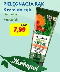 Hale Banacha Krem do rąk Herbapol oferta
