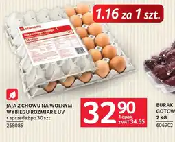 Selgros Jaja z chowu na wolnym wybiegu rozmiar luv oferta