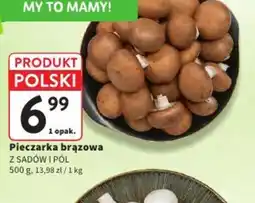 Intermarche Pieczarka brązowa oferta