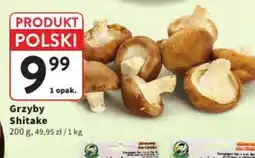 Intermarche Grzyby Shiitake oferta
