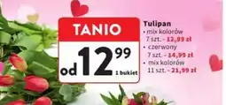 Intermarche Tulipan oferta