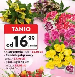 Intermarche Bukiet kwiatów oferta