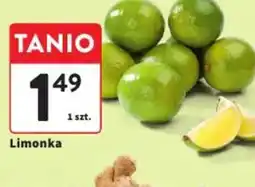Intermarche Limonka oferta