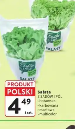 Intermarche Sałata Z Sadów i Pól oferta