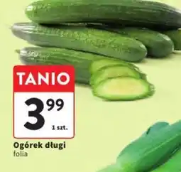 Intermarche Ogórek długi oferta