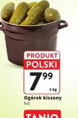 Intermarche Ogórek kiszony oferta