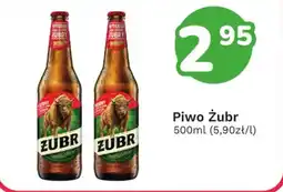 Limonka Piwo Żubr oferta