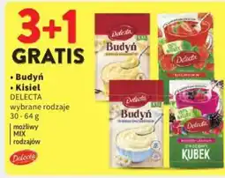 Intermarche Delecta Budyń / Kisiel oferta