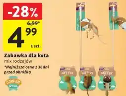 Intermarche Zabawka dla kota oferta