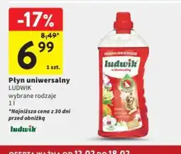 Intermarche Ludwik Płyn uniwersalny oferta