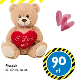 Tedi Pluszak oferta