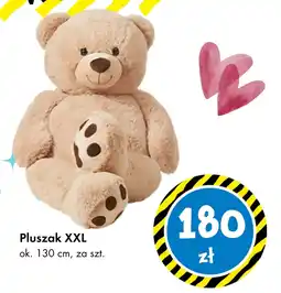 Tedi Pluszak XXL oferta