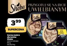 Netto Sheba Karma mokra dla kotów (różne rodzaje) oferta