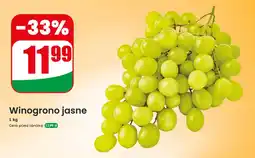 Dino Winogrono jasne oferta