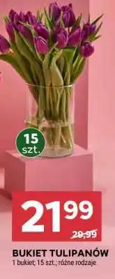 Stokrotka Market Bukiet tulipanów oferta
