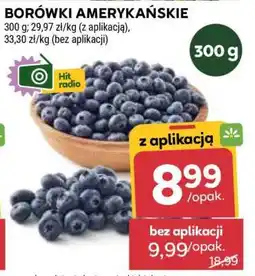 Stokrotka Market Borówki amerykańskie oferta