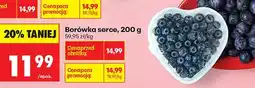 Biedronka Borówka serce oferta