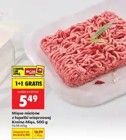 Biedronka Mięso mielone z łopatki wieprzowej oferta