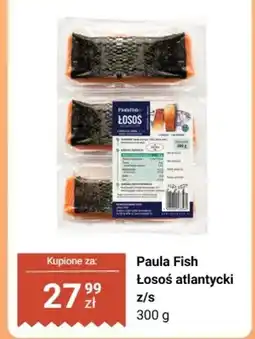 Dino Ziemniaki oferta