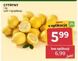 Stokrotka Market Cytryny oferta