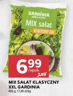 Stokrotka Market MIX SAŁAT KLASYCZNY XXL GARDINIA oferta