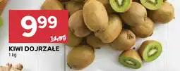 Stokrotka Market KIWI DOJRZAŁE oferta